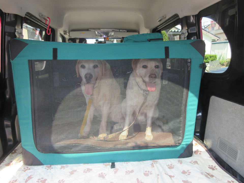 IMG_3030.jpg IMG_3030.jpg