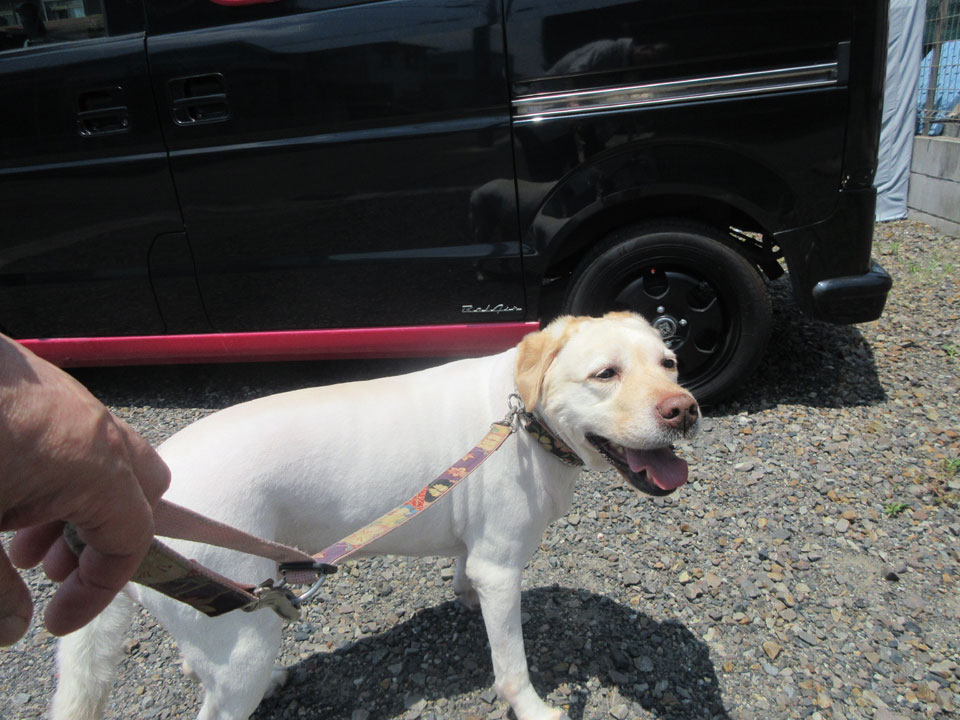 IMG_3031.jpg IMG_3031.jpg