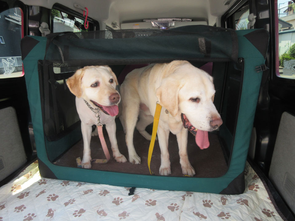 IMG_3033.jpg IMG_3033.jpg