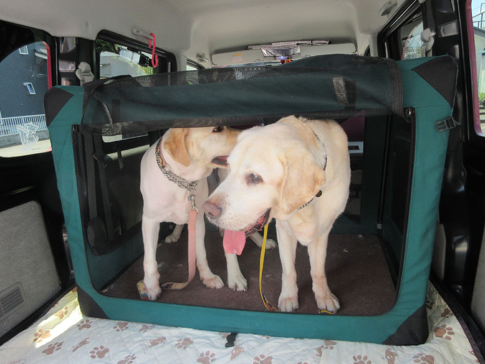 IMG_3034.jpg IMG_3034.jpg