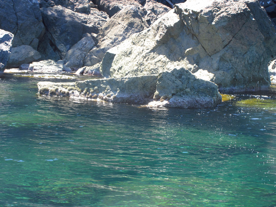 IMG_3119.jpg IMG_3119.jpg