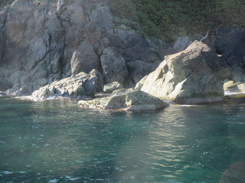 IMG_3183.jpg IMG_3183.jpg