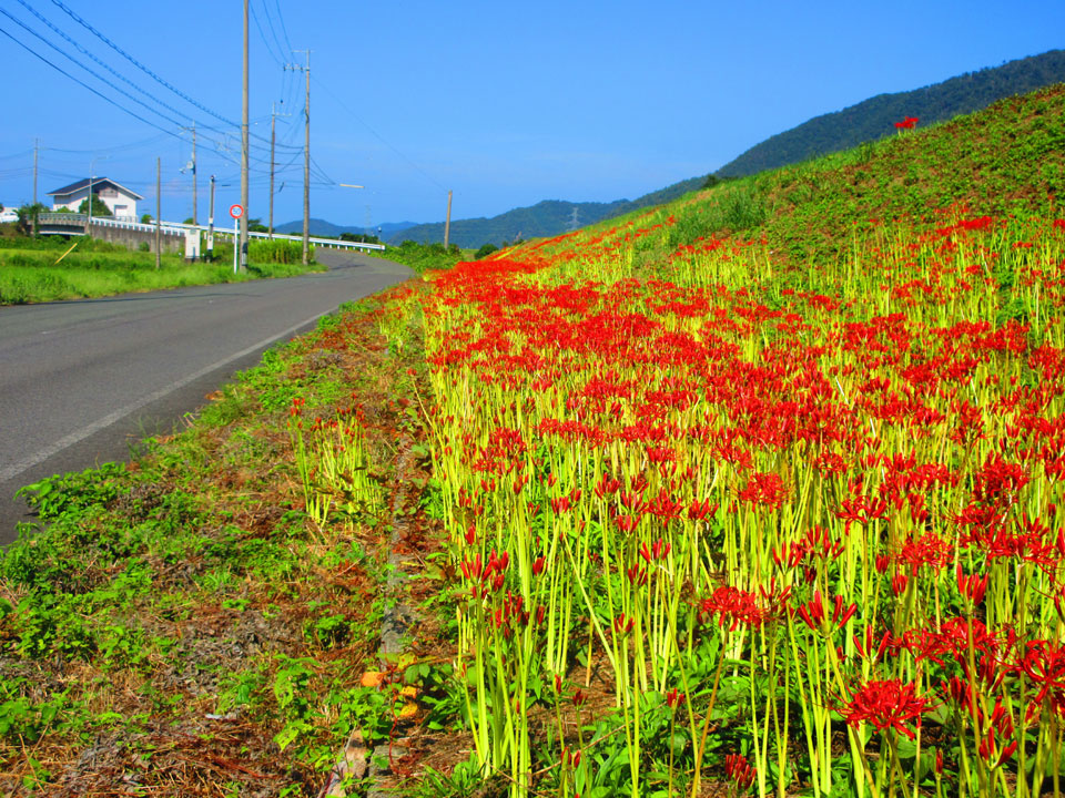 IMG_3184.jpg IMG_3184.jpg