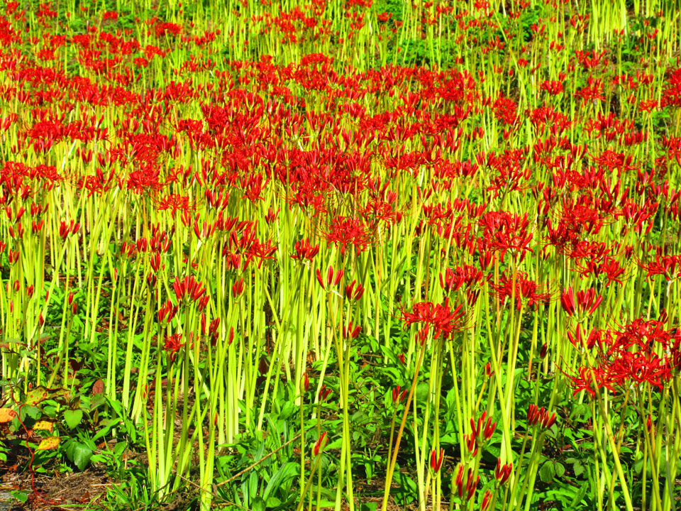 IMG_3185.jpg IMG_3185.jpg