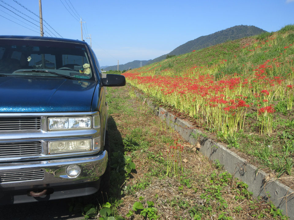 IMG_3187.jpg IMG_3187.jpg