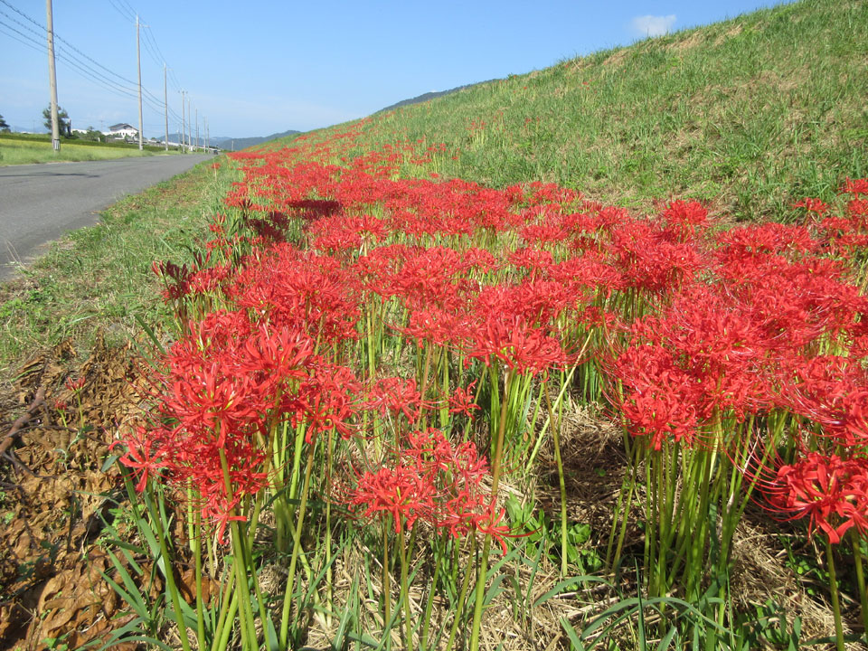 IMG_3189.jpg IMG_3189.jpg