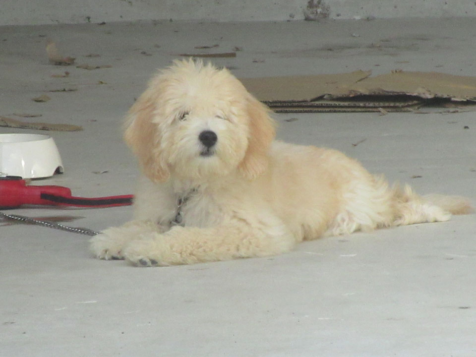 IMG_3230.jpg IMG_3230.jpg