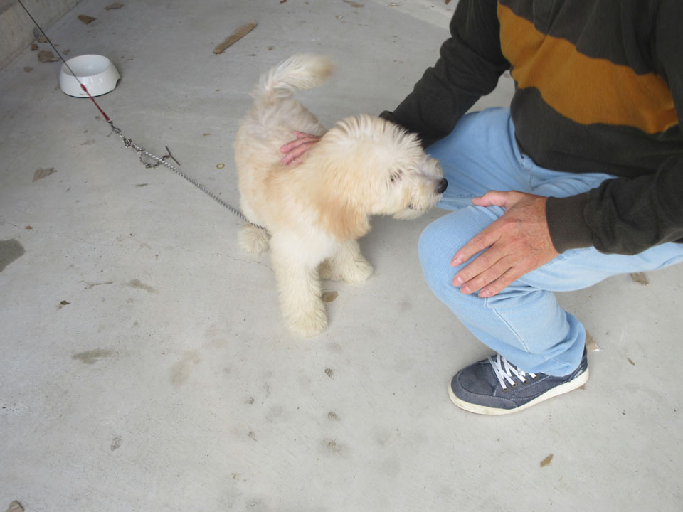 IMG_3231.jpg IMG_3231.jpg