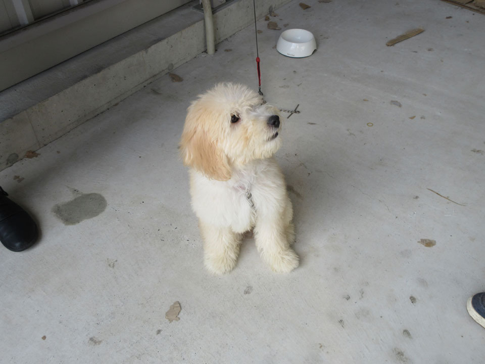 IMG_3232.jpg IMG_3232.jpg