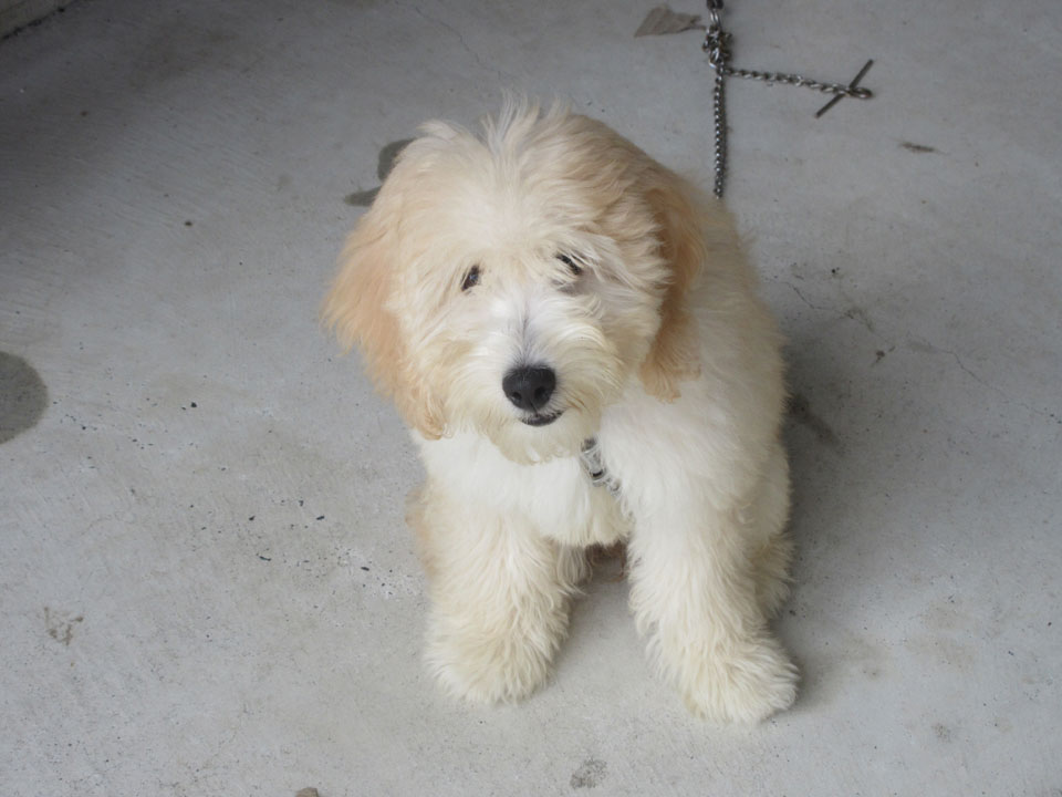 IMG_3233.jpg IMG_3233.jpg