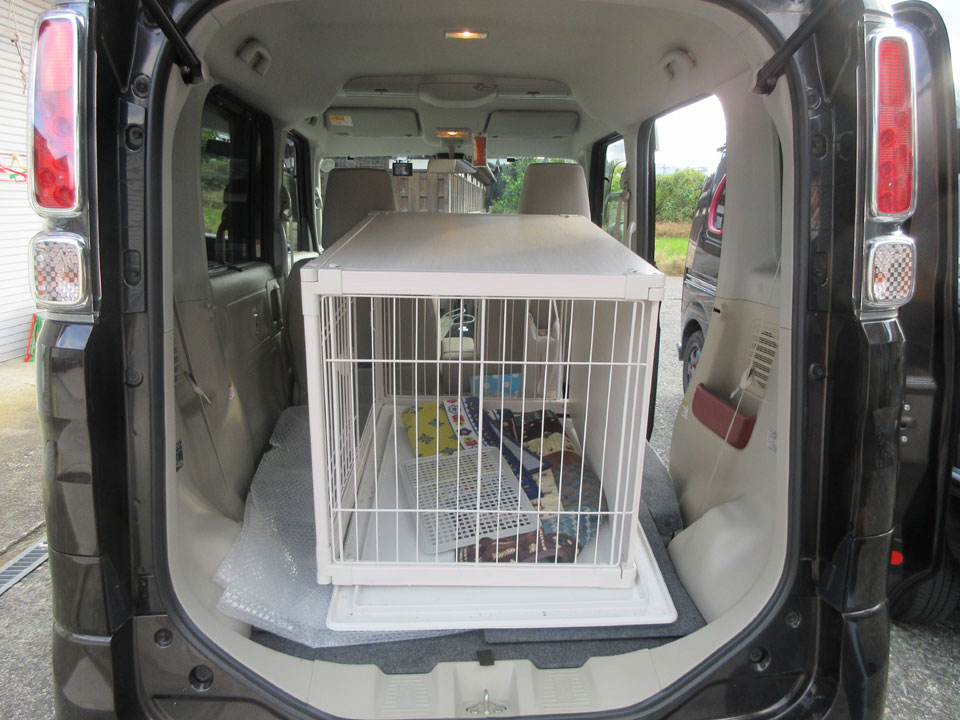 IMG_3234.jpg IMG_3234.jpg