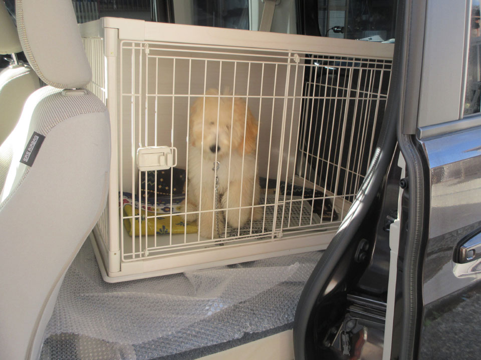 IMG_3235.jpg IMG_3235.jpg