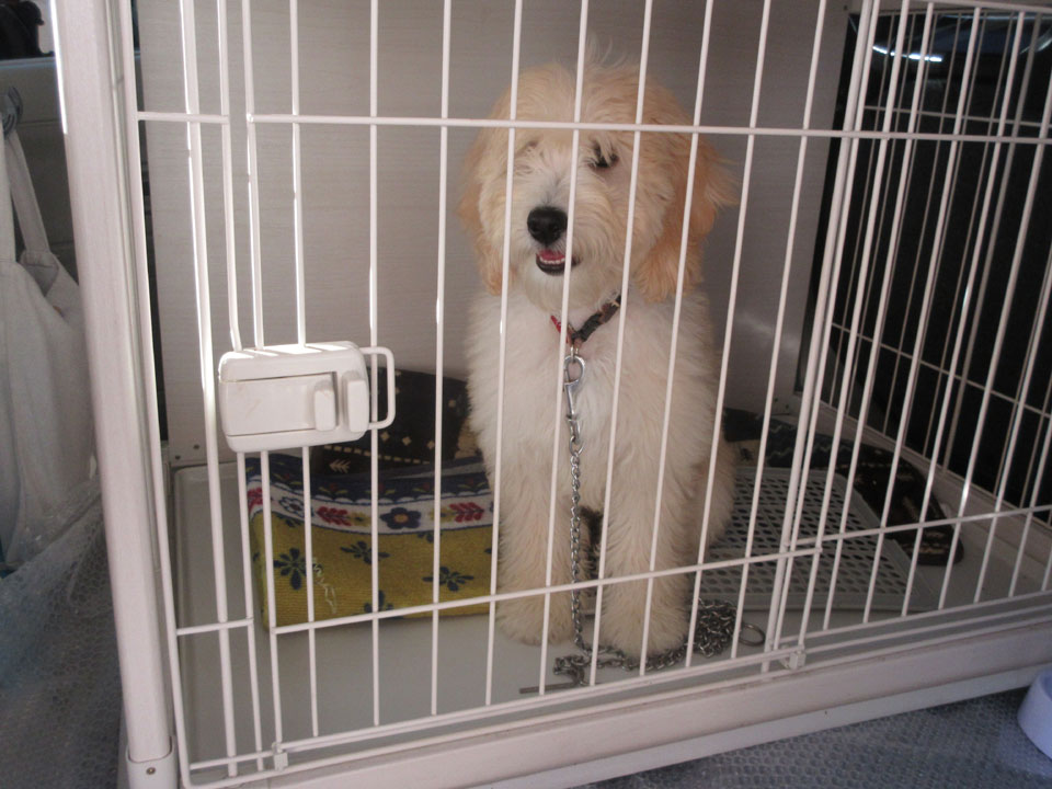 IMG_3236.jpg IMG_3236.jpg