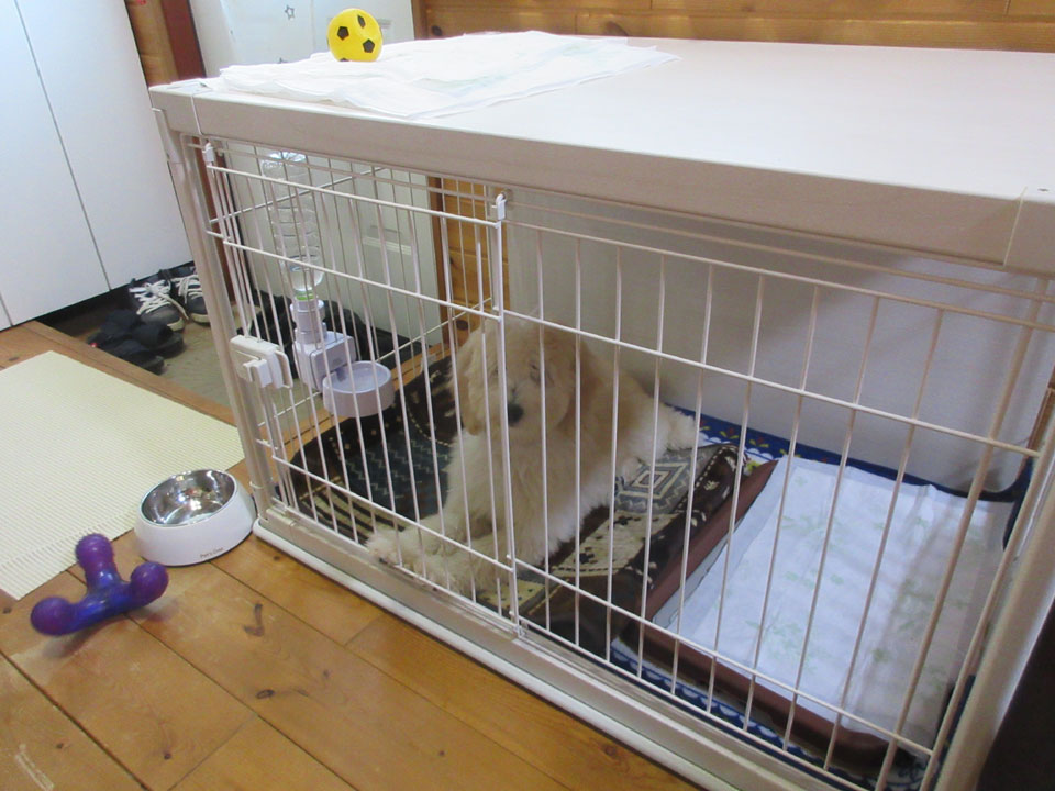 IMG_3237.jpg IMG_3237.jpg