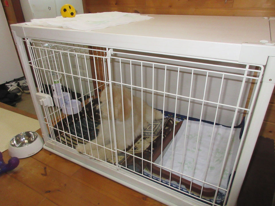 IMG_3238.jpg IMG_3238.jpg