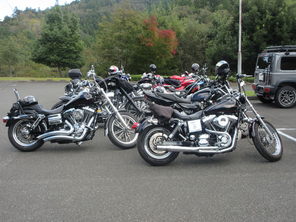 IMG_3252.jpg IMG_3252.jpg