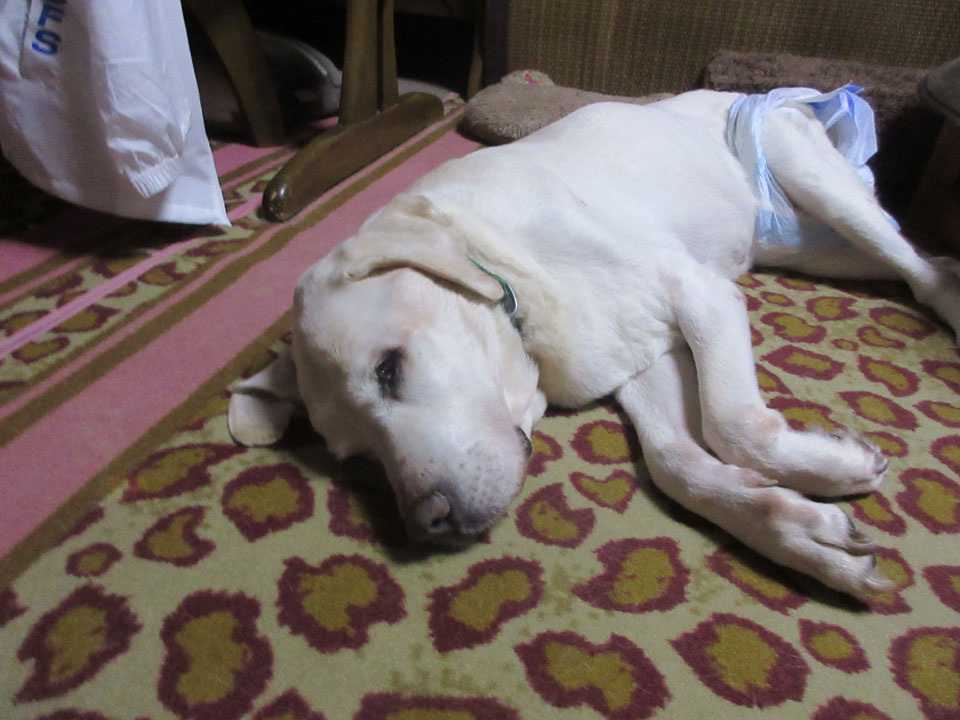 IMG_3262.jpg IMG_3262.jpg