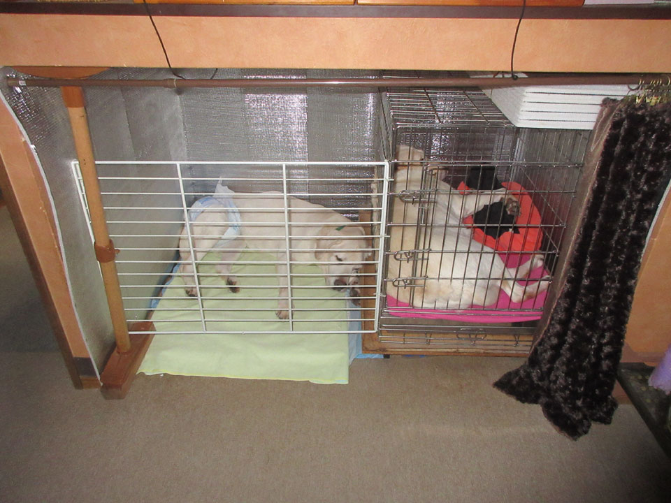 IMG_3263.jpg IMG_3263.jpg