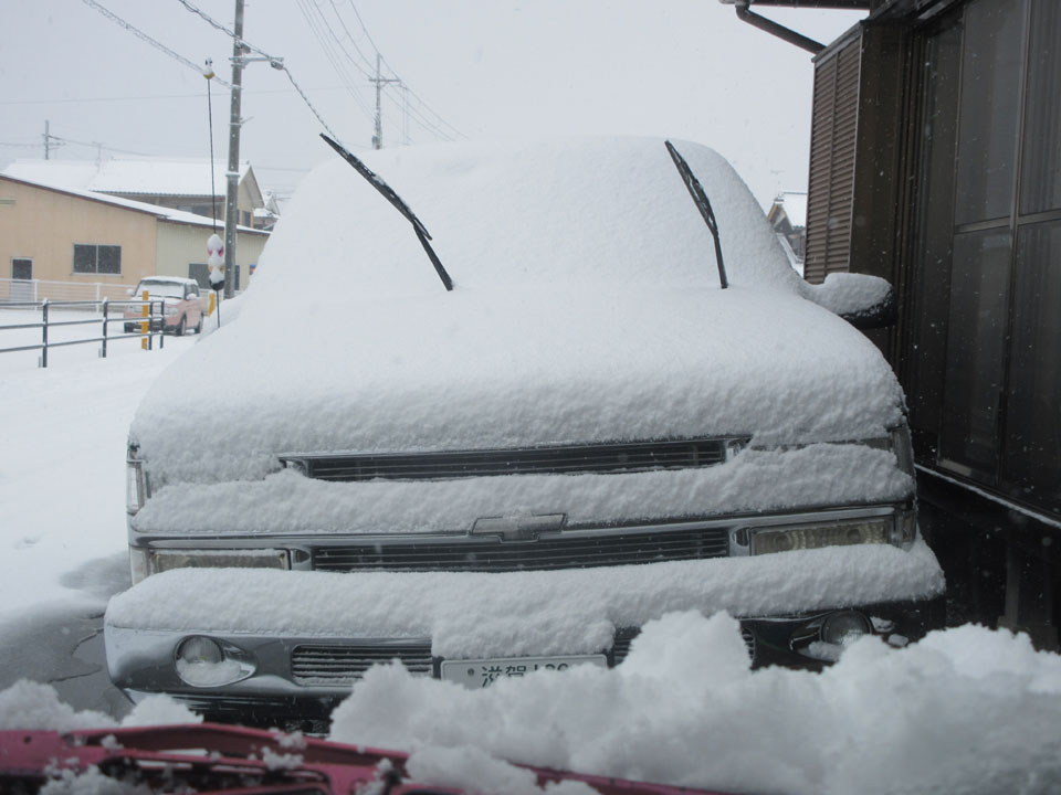 IMG_3335.jpg IMG_3335.jpg