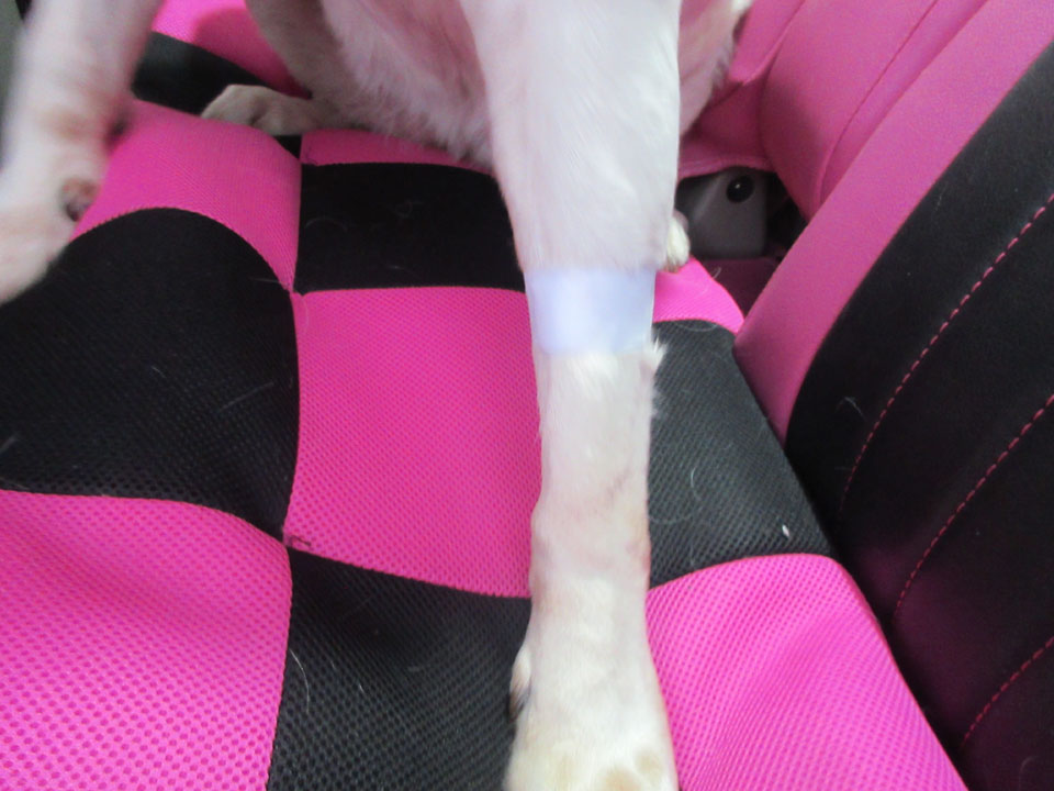 IMG_3351.jpg IMG_3351.jpg