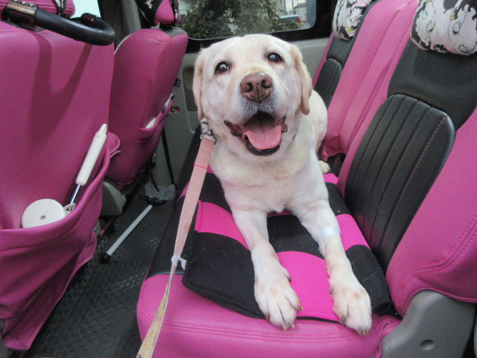 IMG_3352.jpg IMG_3352.jpg