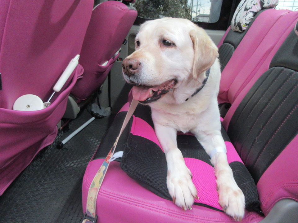 IMG_3353.jpg IMG_3353.jpg