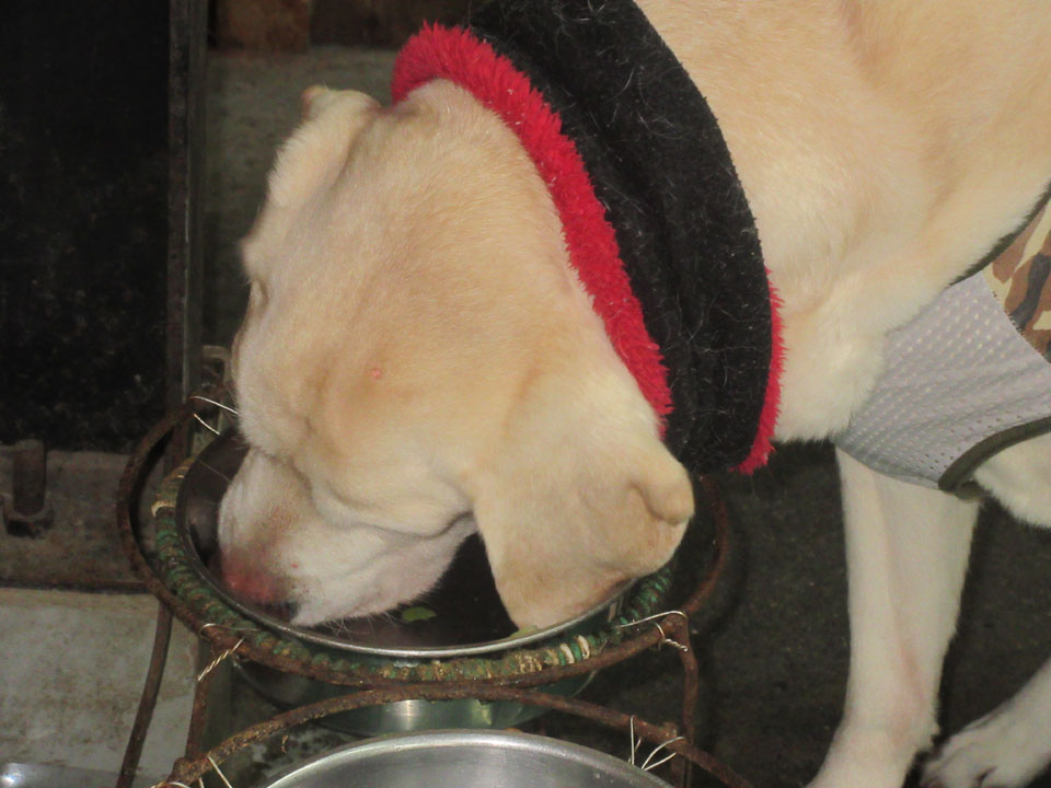 IMG_3364.jpg IMG_3364.jpg