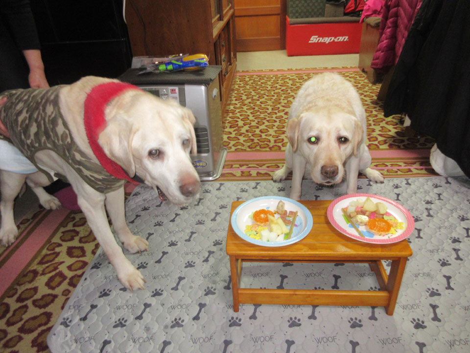 IMG_3366.jpg IMG_3366.jpg