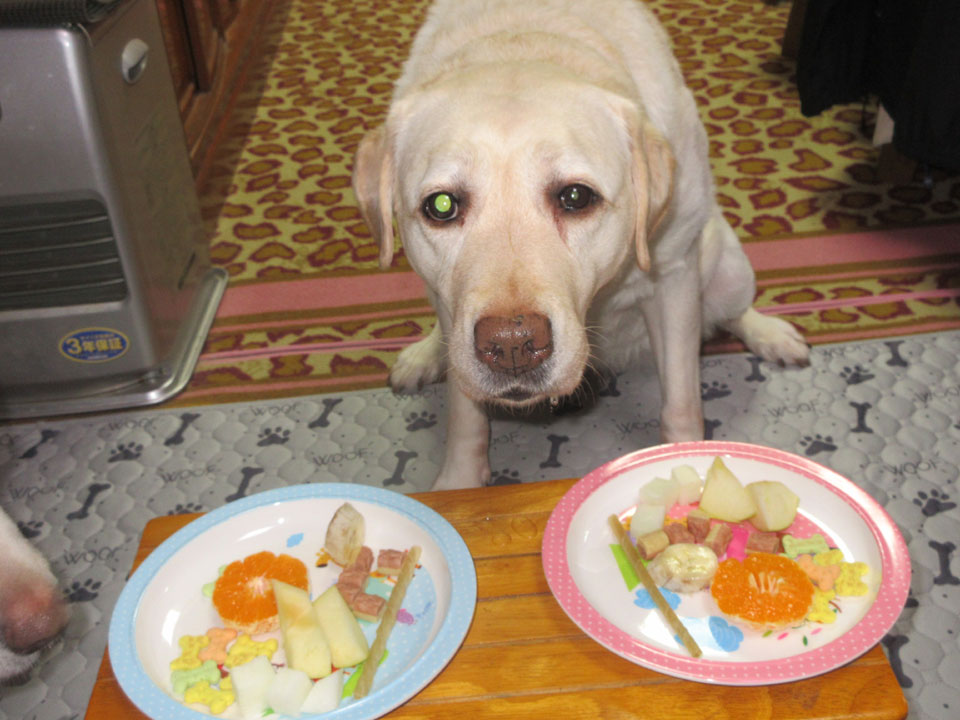 IMG_3367.jpg IMG_3367.jpg