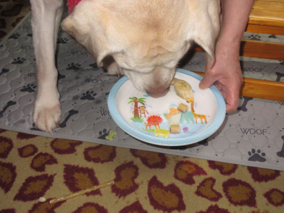 IMG_3369.jpg IMG_3369.jpg