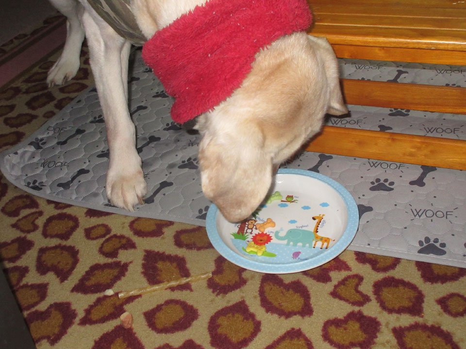 IMG_3370.jpg IMG_3370.jpg