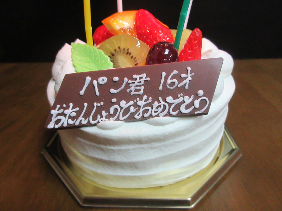 IMG_3372.jpg IMG_3372.jpg