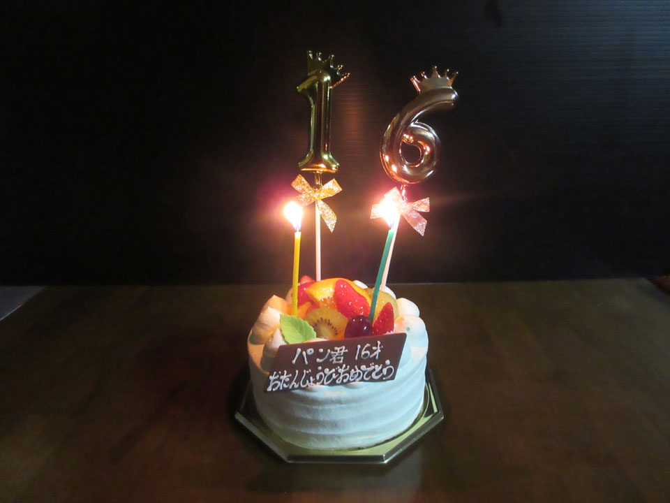 IMG_3373.jpg IMG_3373.jpg