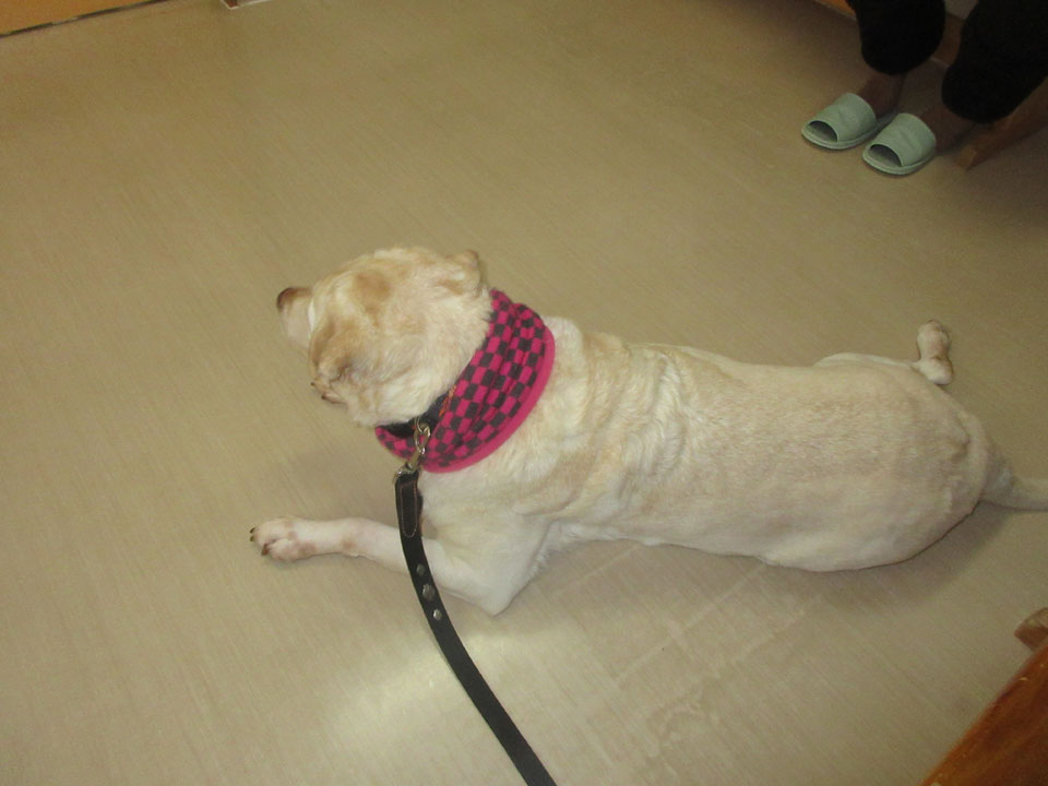 IMG_3411.jpg IMG_3411.jpg