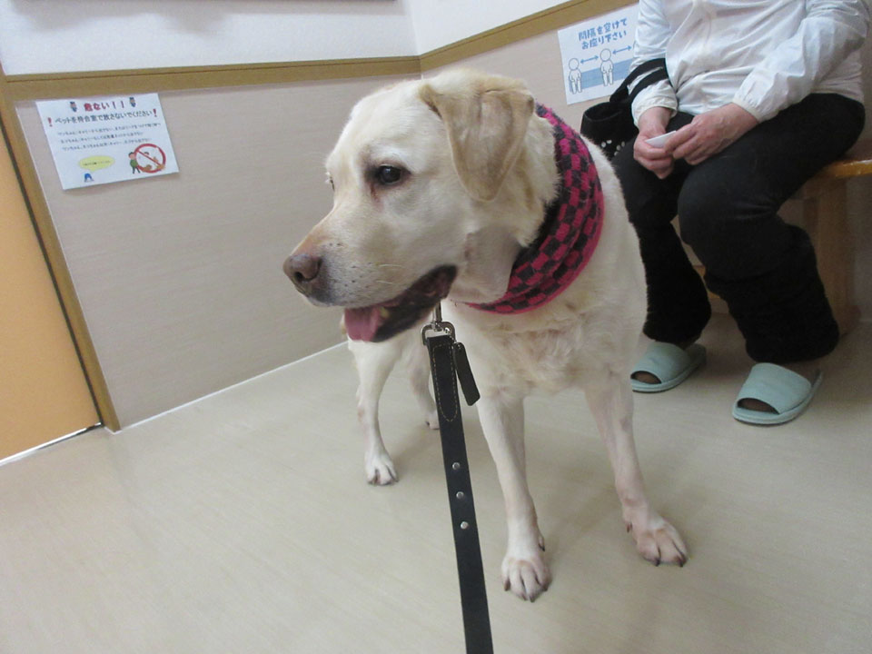 IMG_3412.jpg IMG_3412.jpg