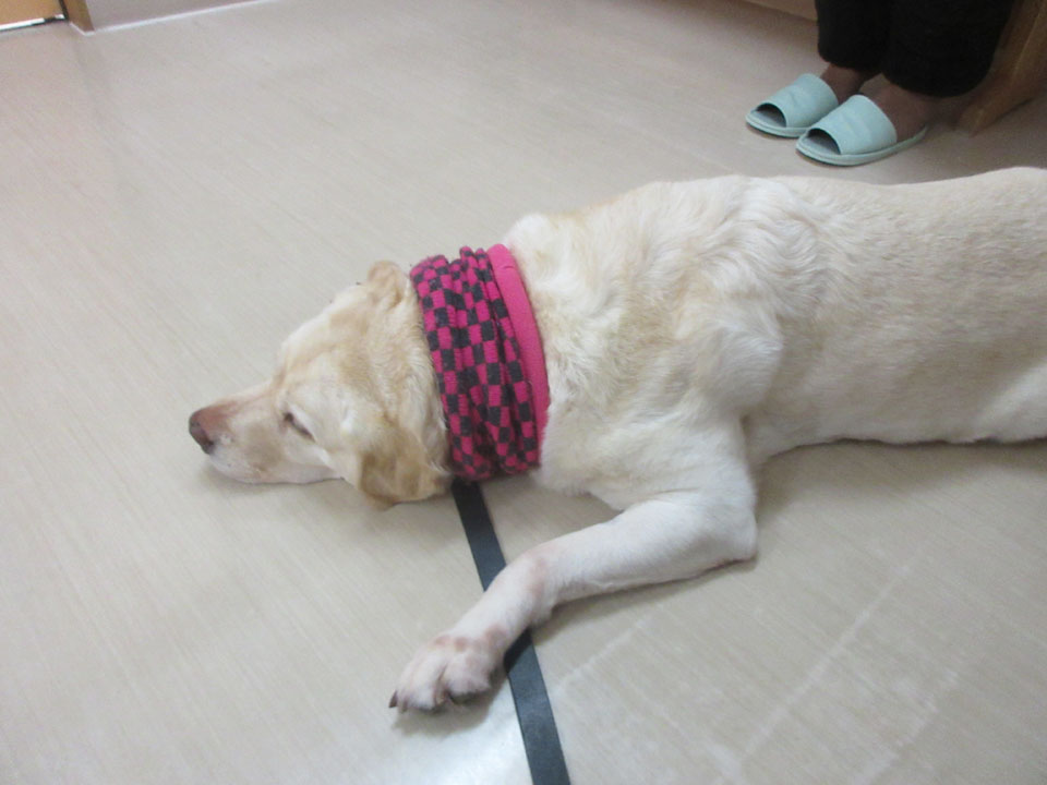 IMG_3413.jpg IMG_3413.jpg