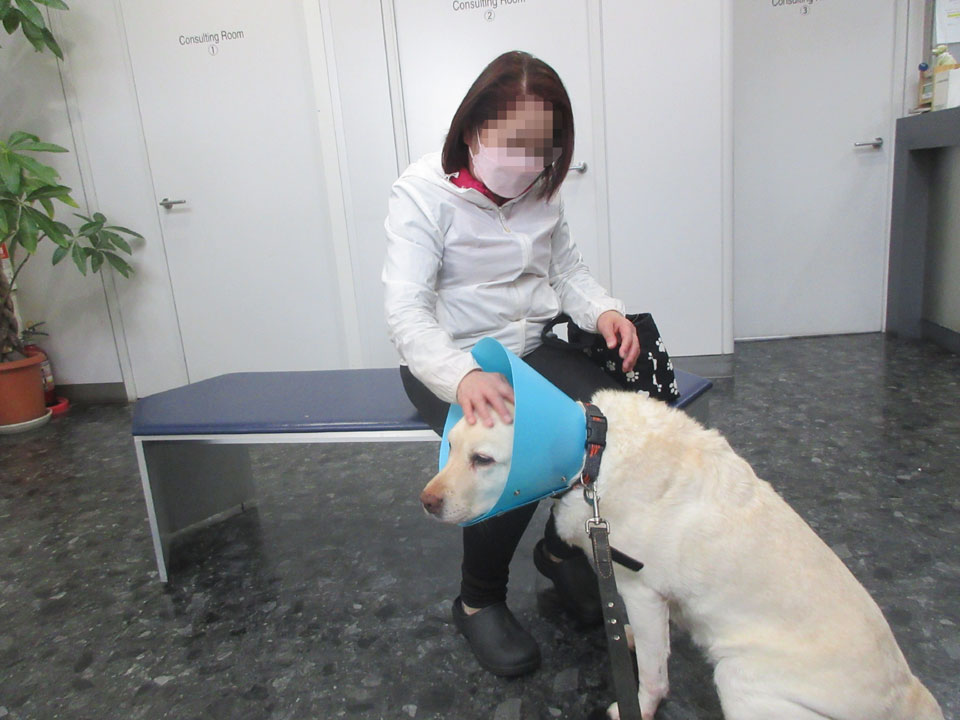 IMG_3442.jpg IMG_3442.jpg