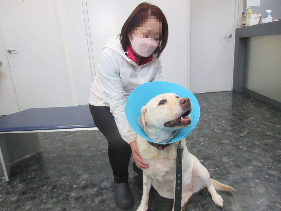 IMG_3443.jpg IMG_3443.jpg