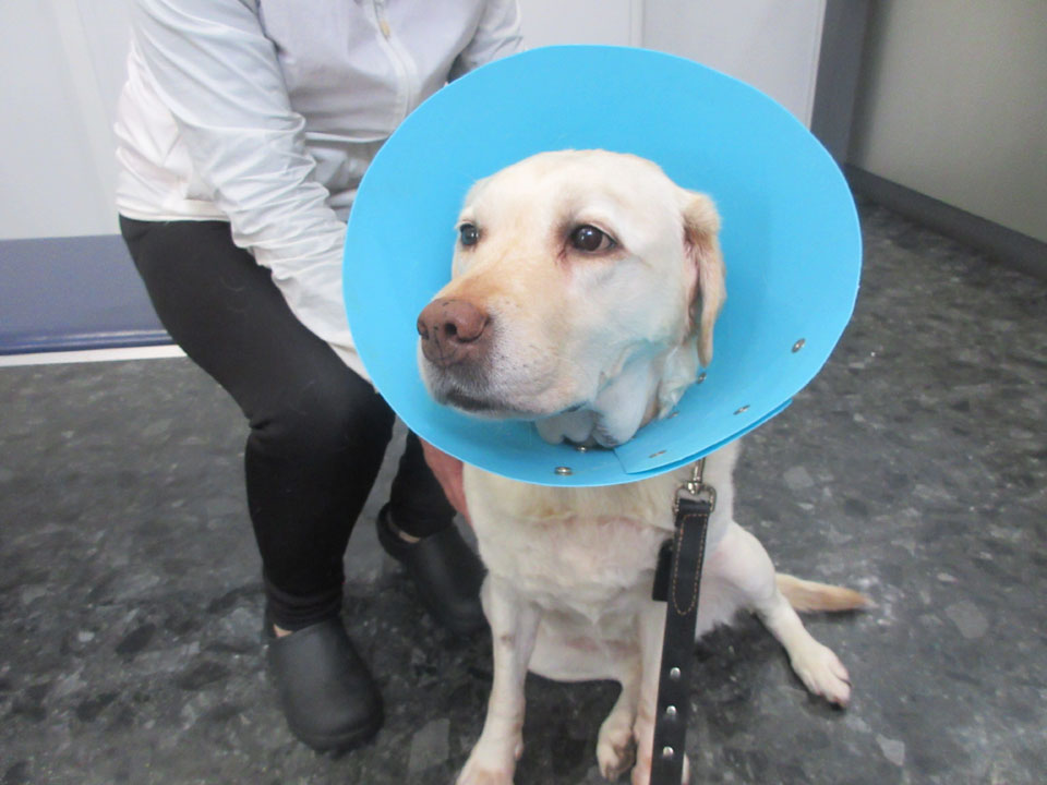 IMG_3444.jpg IMG_3444.jpg