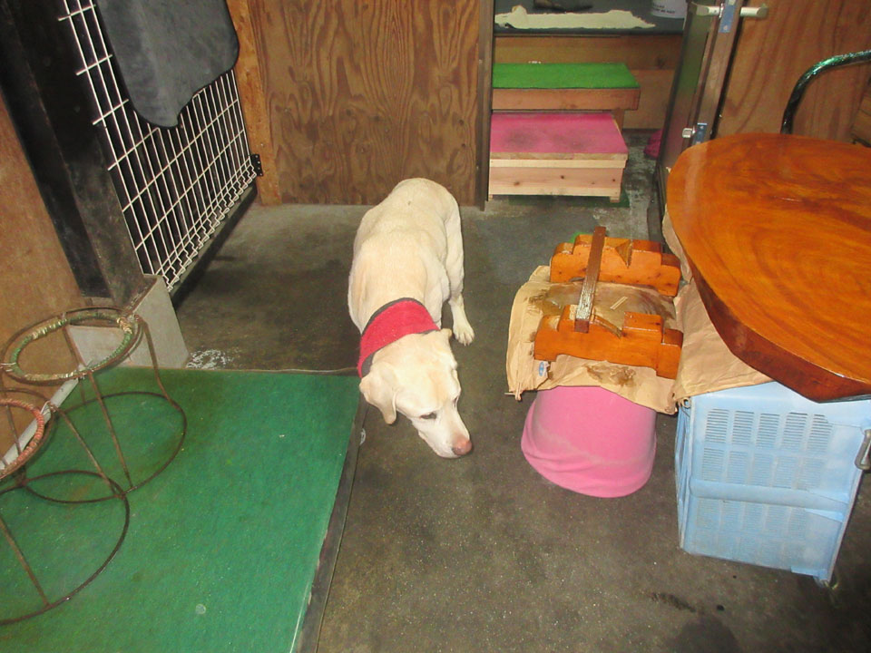 IMG_3445.jpg IMG_3445.jpg