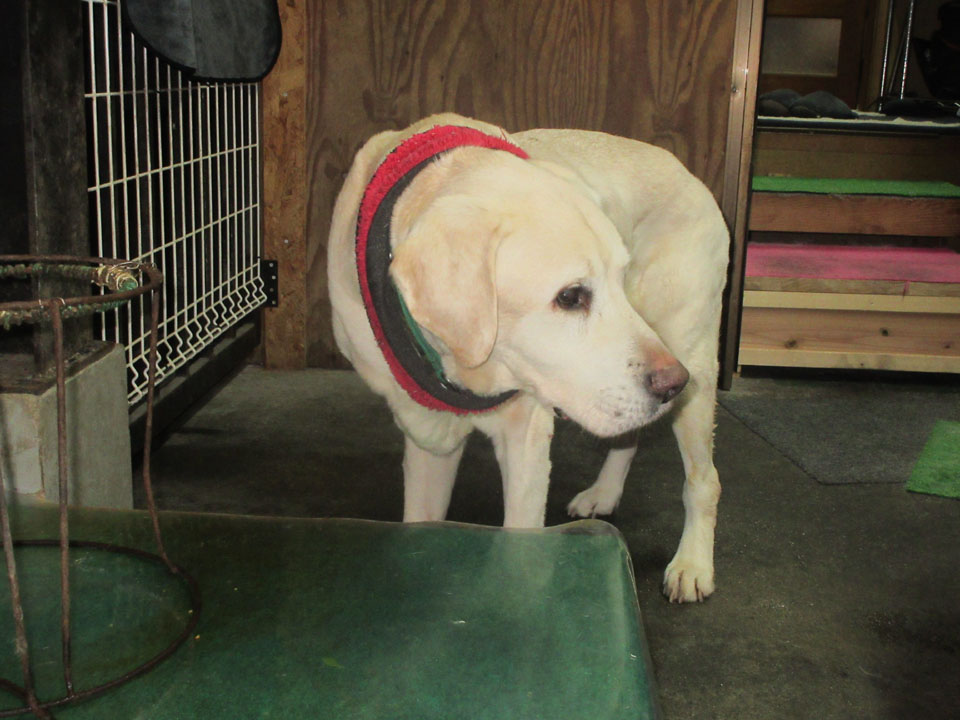 IMG_3446.jpg IMG_3446.jpg