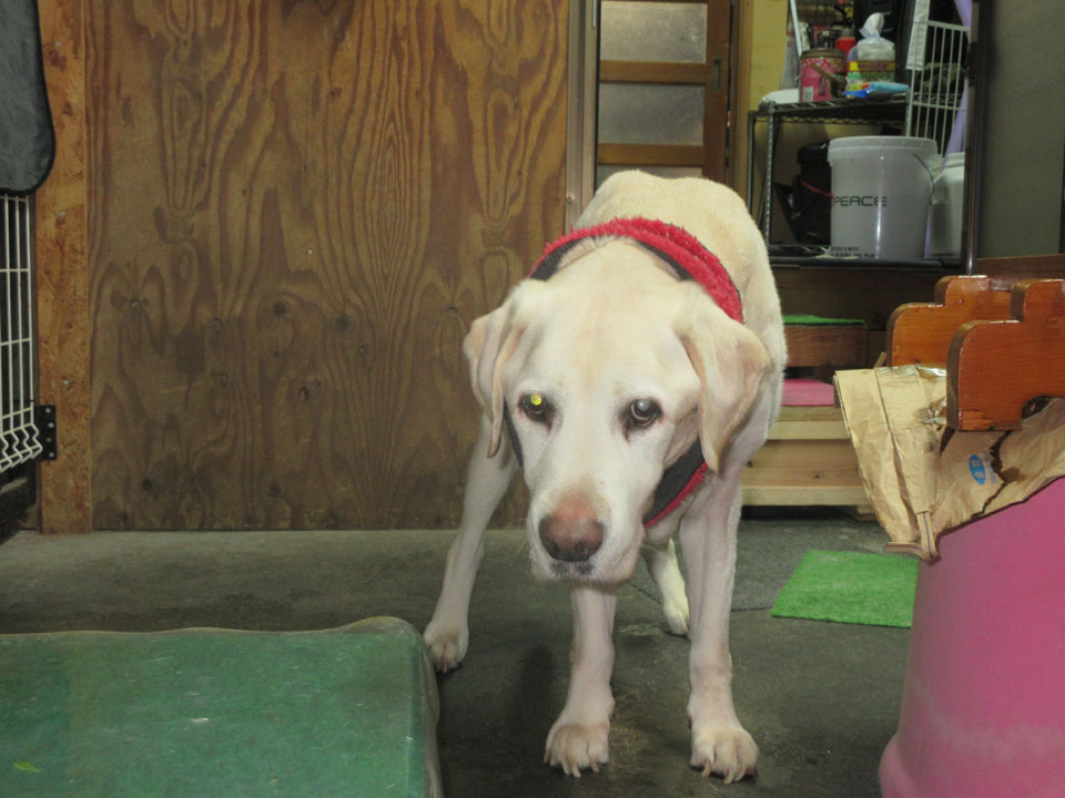 IMG_3448.jpg IMG_3448.jpg