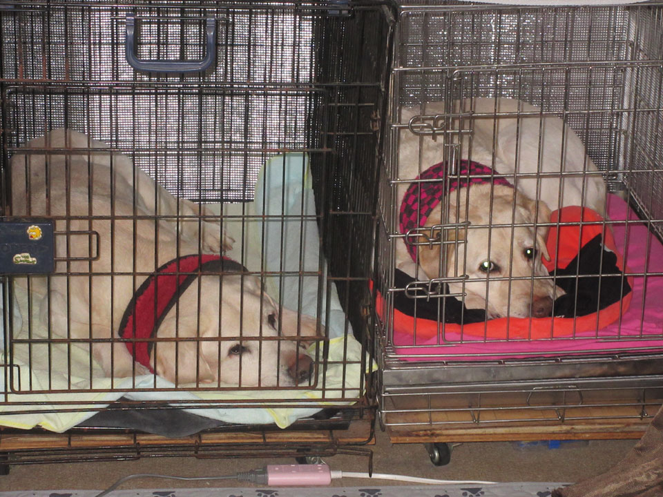 IMG_3449.jpg IMG_3449.jpg