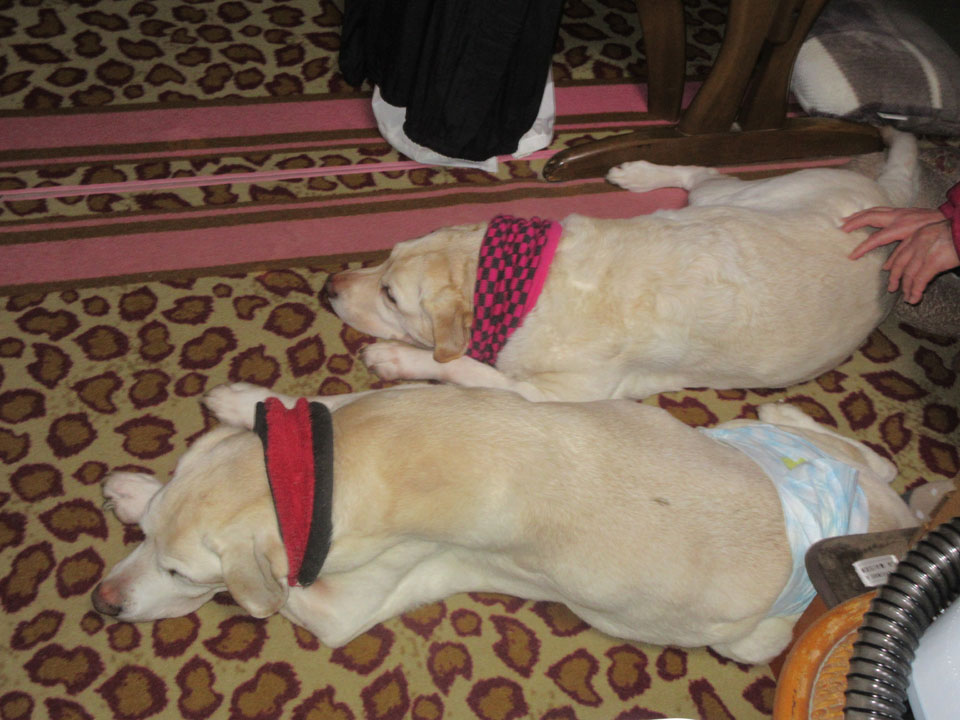 IMG_3450.jpg IMG_3450.jpg