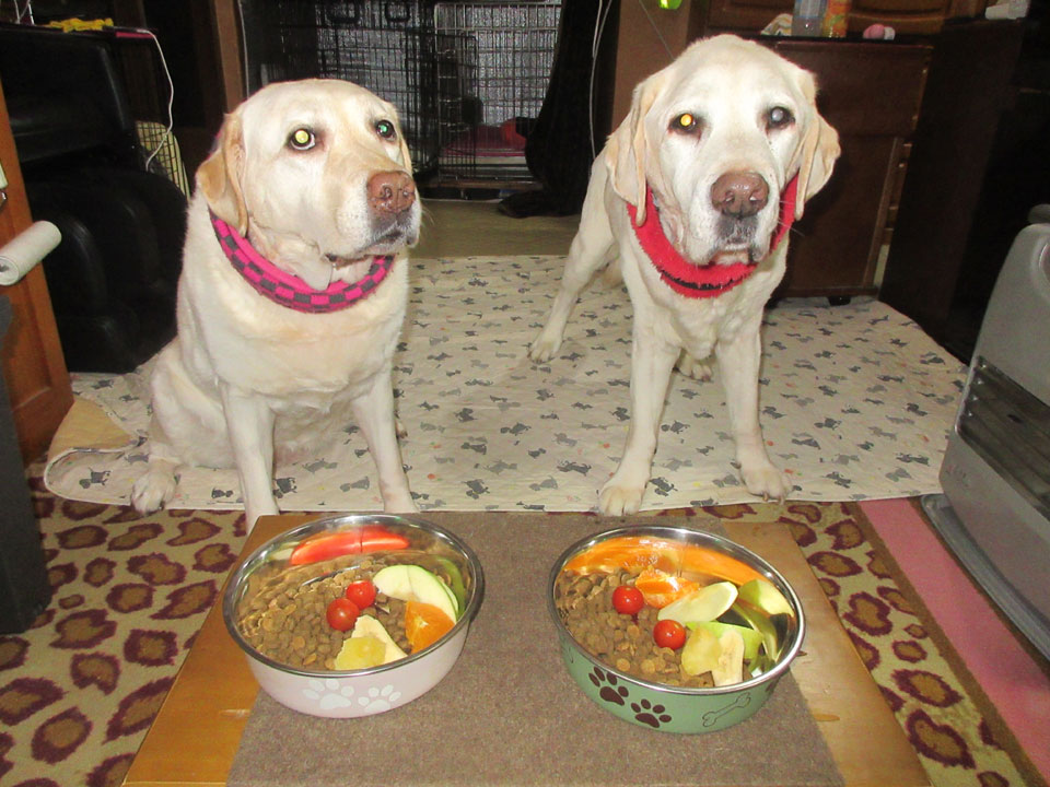 IMG_3473.jpg IMG_3473.jpg