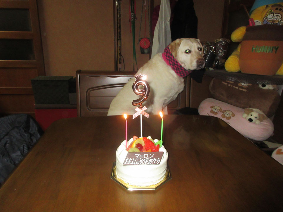 IMG_3476.jpg IMG_3476.jpg