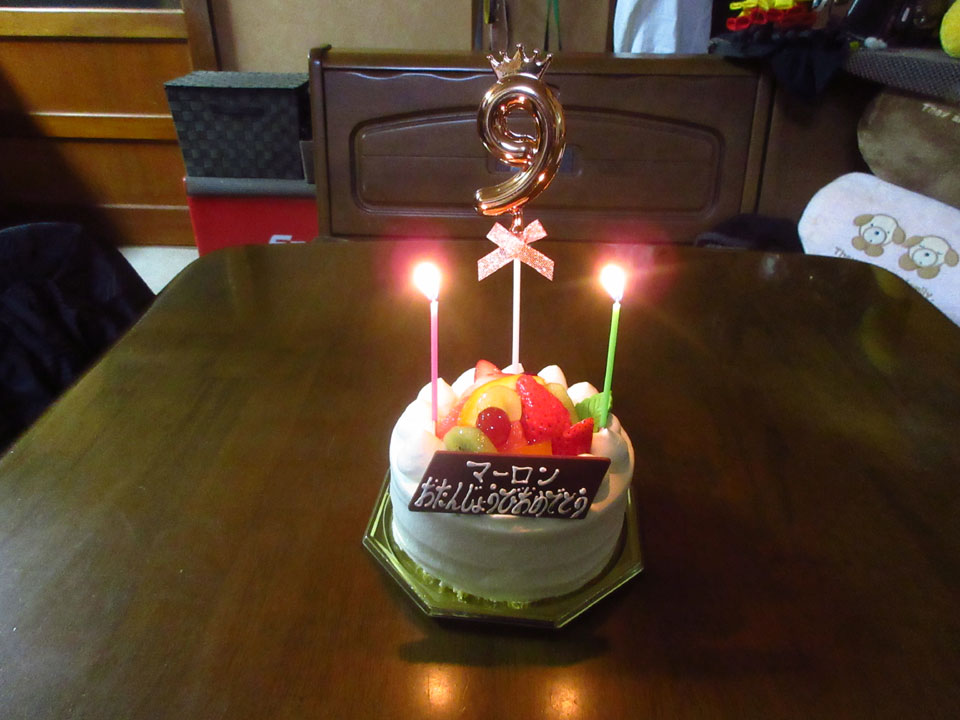 IMG_3477.jpg IMG_3477.jpg