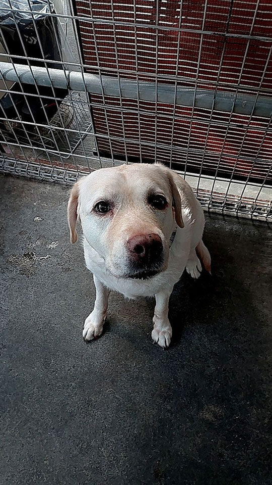 57562_0.jpg 57562_0.jpg