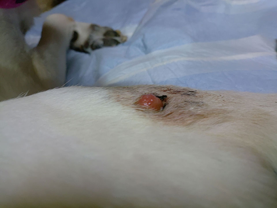 58091_0.jpg 58091_0.jpg