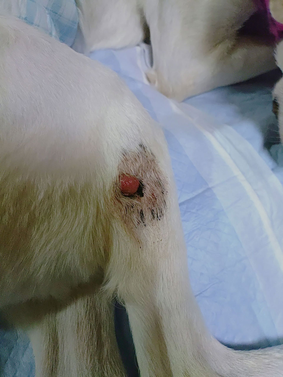 58092_0.jpg 58092_0.jpg